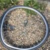 Dévoilage 1 roue